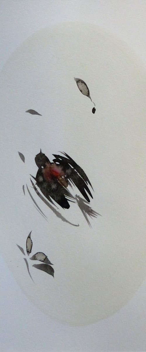 Birds of Carros #7, 29x42 cm by Frederic Belaubre