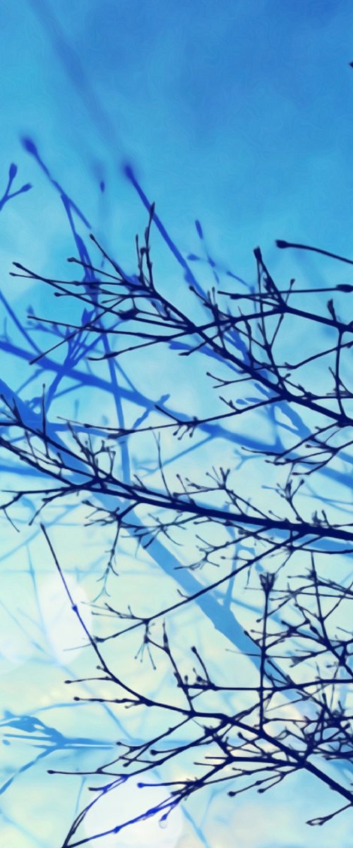 Winter - A3 by Kerry Gerdes