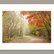 autumn path #1 by Yuan Hua Jia