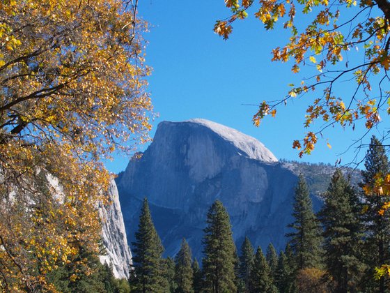 Half Dome in Yosemite