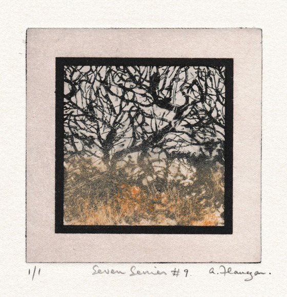 Seven Series #9