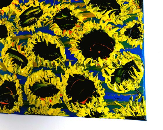 Blooming sunflowers 6