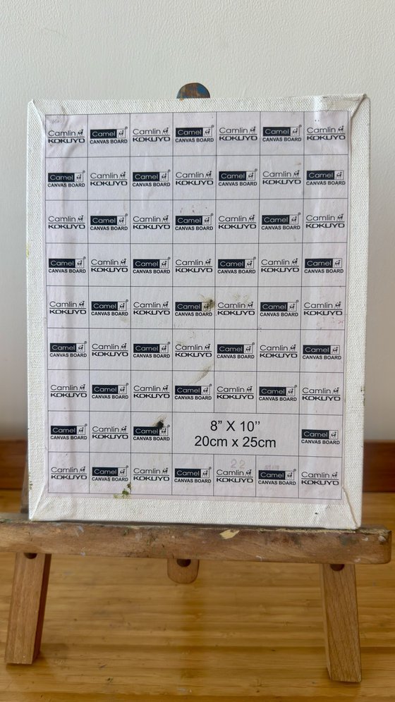 Flowers from my garden 5