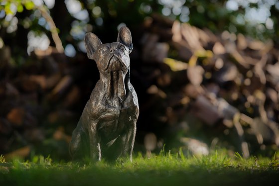 Sitting French Bulldog FB