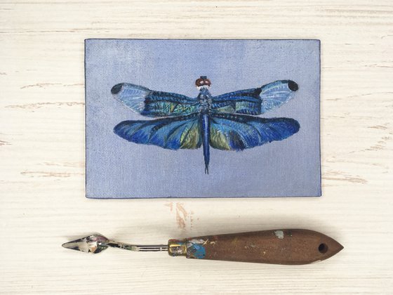 BLUE DRAGONFLY