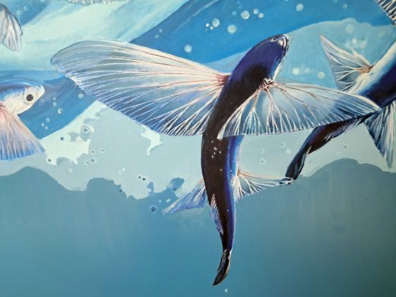 FLYING FISH