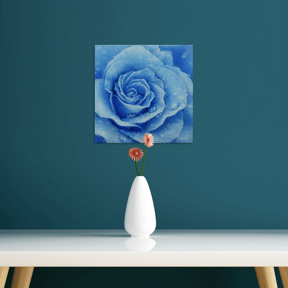 Rose. Blue Rose!