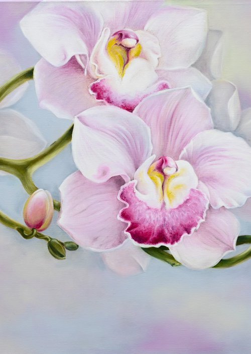 Orchids by Tanya Shark