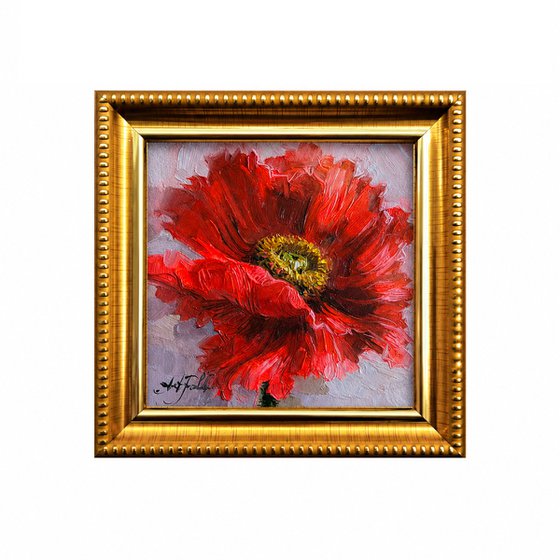 Poppy flower