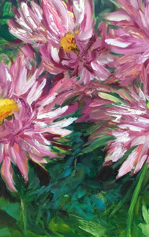 Pink chrysanthemums by Kateryna Krivchach