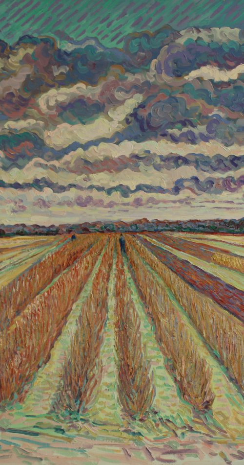 Field of Rasberry Canes by Nigel Dickerson