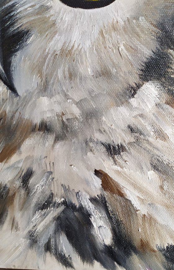 Owl, original bird oil painting, small gift idea, art for home