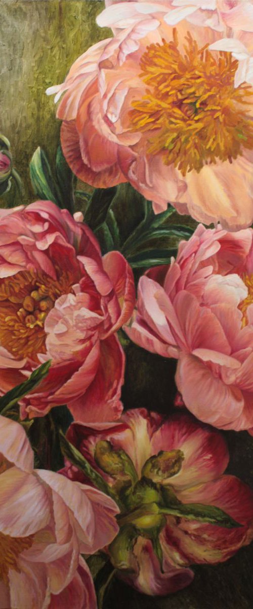 peonies by Julia Diven