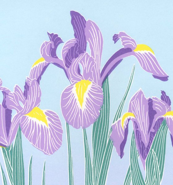 Irises