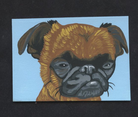 ACEO ATC Original Miniature Painting Brussels Griffon Pet Dog Art-Carla Smale