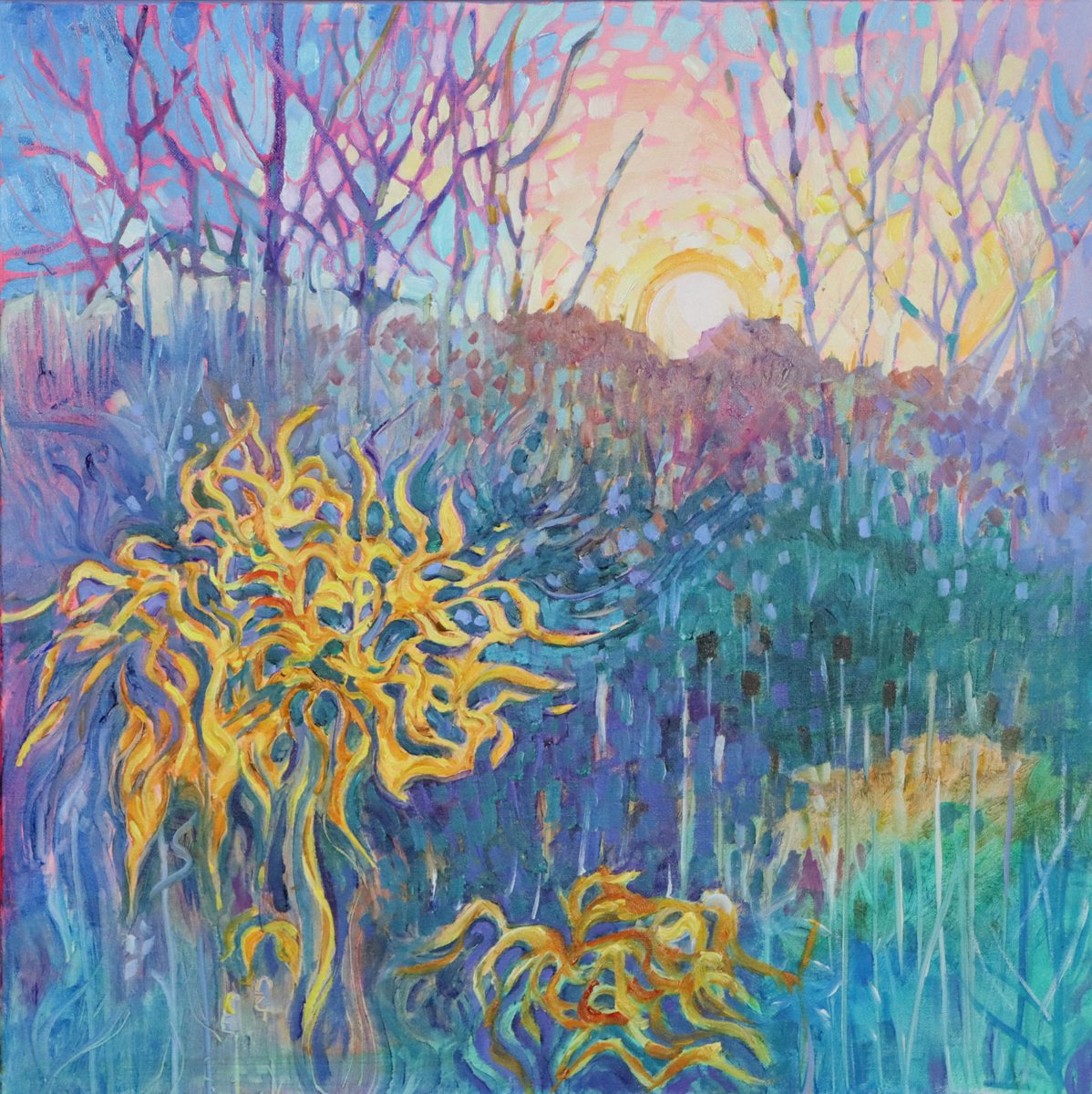 Earthbound Sunset By Mary Kemp, 16 X 16, Artwork For Sale On Artfinder