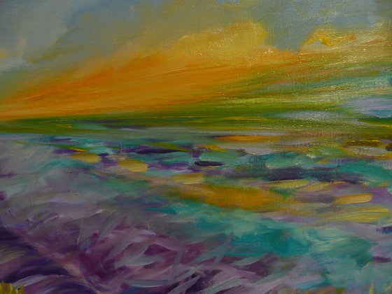 Lavender Fields 2025