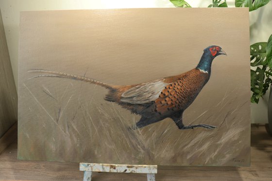 Pheasant Running, Animal Painting, Bird Artwork, Framed Art, Garden Animals, Original not Print, Gun Dog, Hunting