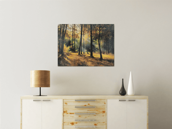 Sunlit Autumn Forest