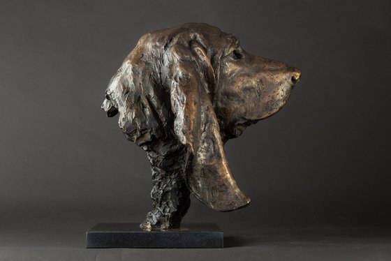 Basset Portrait Bronze