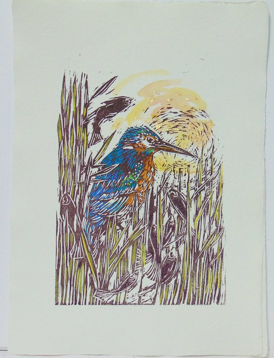 Kingfisher linocut, A3