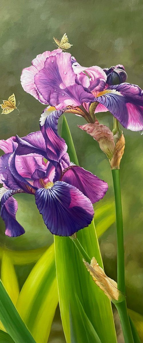 Beautiful flowers t269 by Kunlong Wang