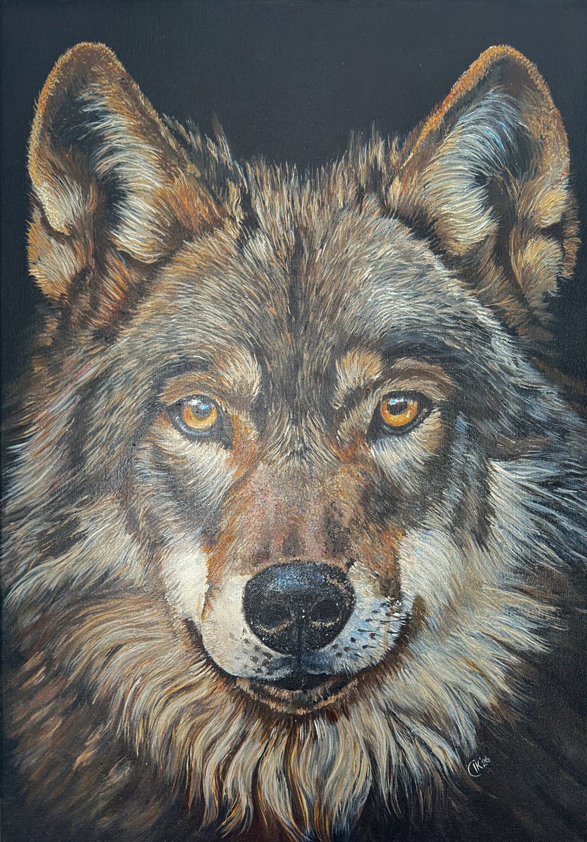 The Gaze By Irina Kurganskaya, 20 X 28, Artwork For Sale On Artfinder