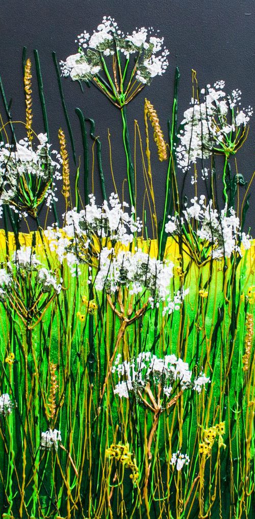 Cow Parsley and Rape by Jackie Ward