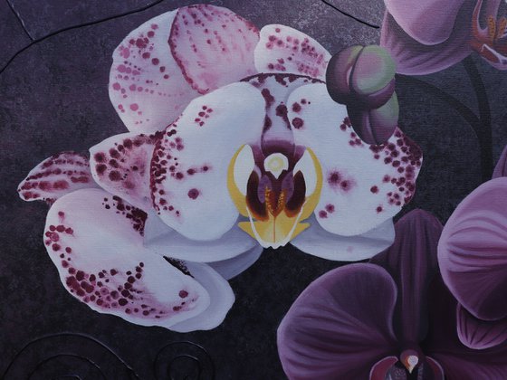 Purple Orchids