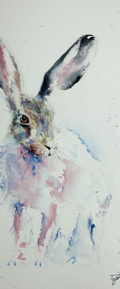 Eastern Hare by Tomasz Mikutel