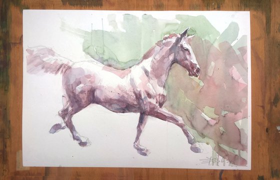 White horse
