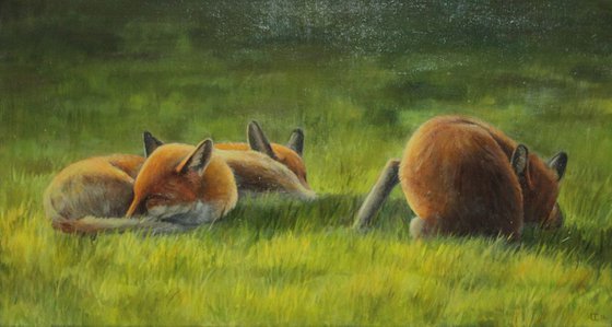 Foxes in the Sun Triptych