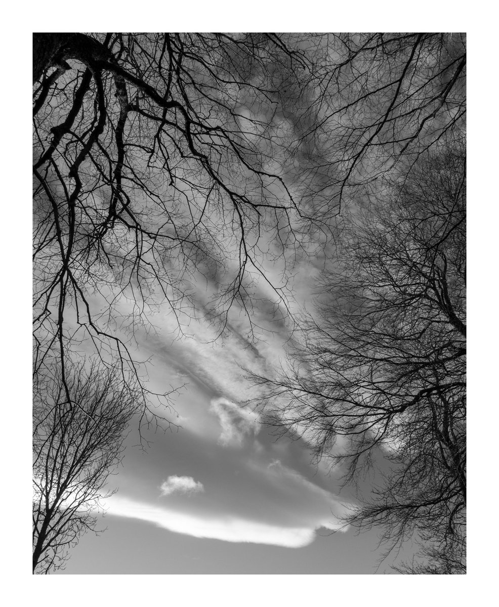 Enclosure - Clouds II by David Baker