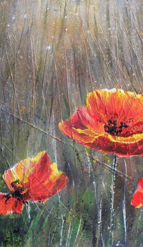 "Wild Poppies" by Ivan  Grozdanovski