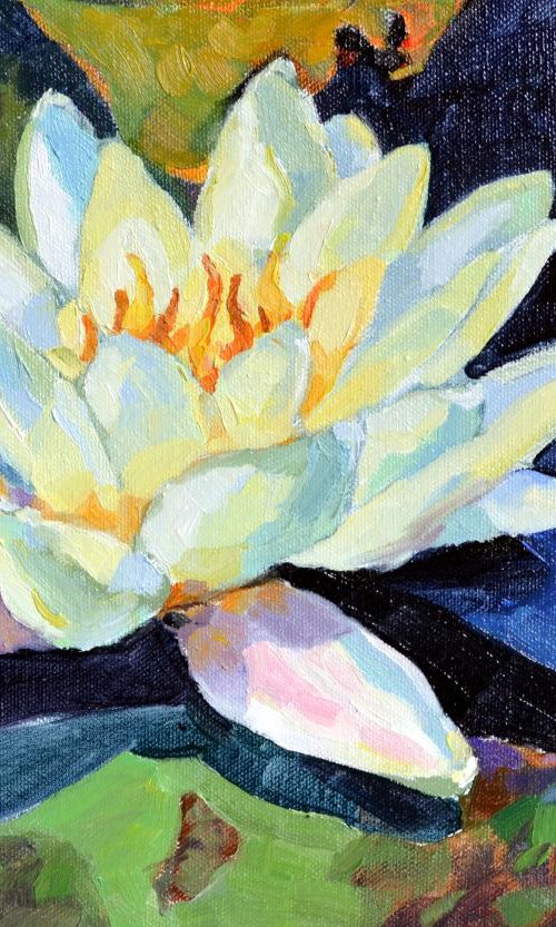 Waterlilly by Irina Ushakova