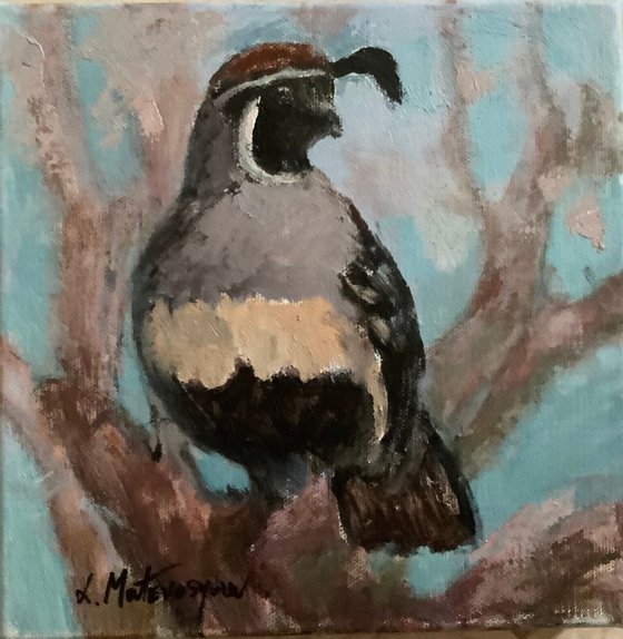 Gamble’s Quail