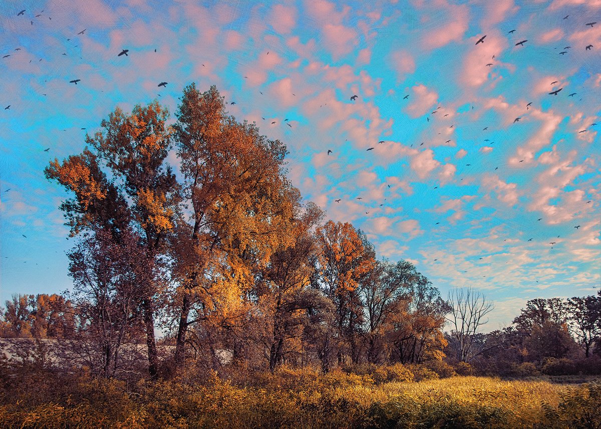 Impressionistic Landscape Photograph By Valerix, 28 X 20", Autumn Under Vanilla Sky., Original Artwork