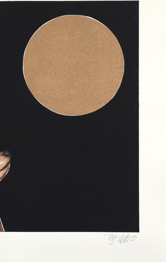 Midnight Fox and Midnight Badger Printset