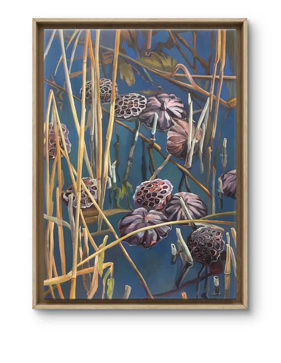 Lotus pond.Pods