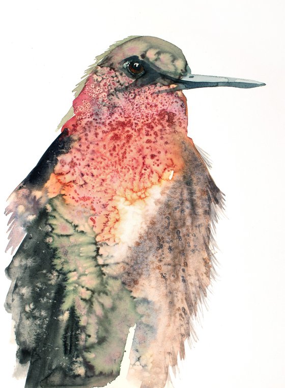 Hummingbird No. 7