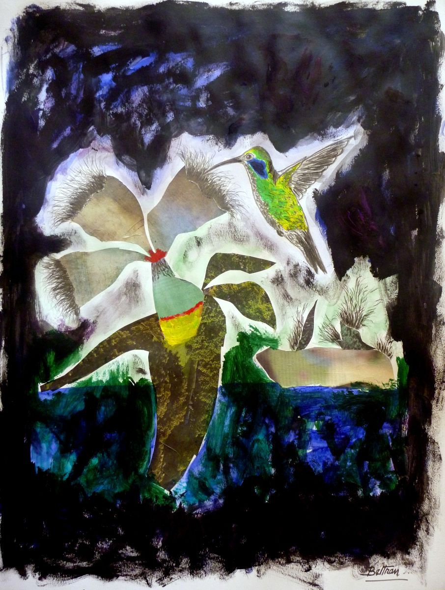 Le colibri by Pierre-Yves Beltran