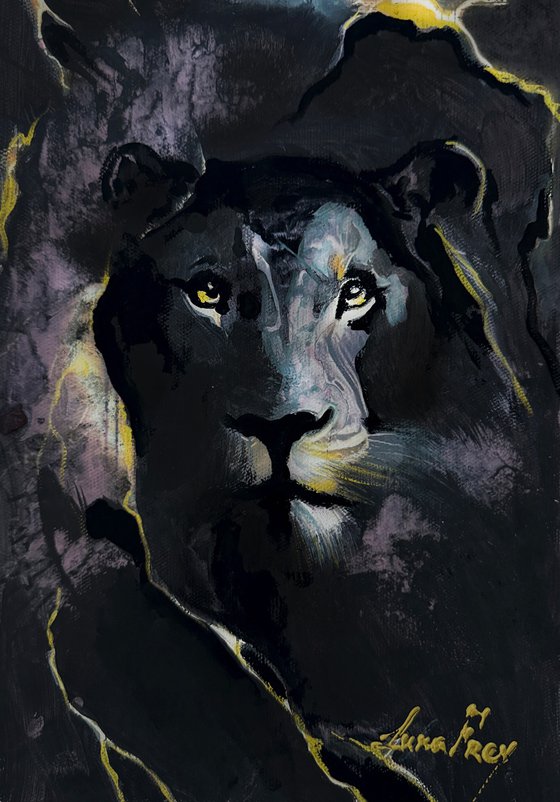 When the Night Opens Its Eyes