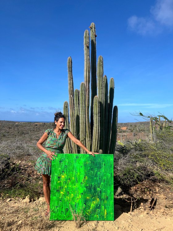 Cacti and Aloe