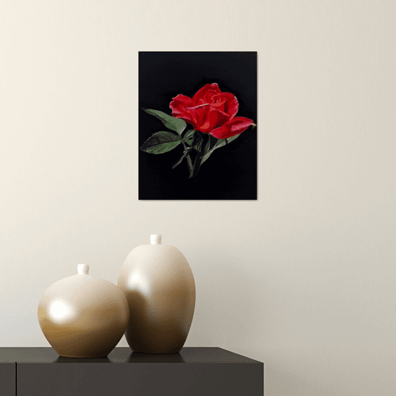 Crimson Study: Red Rose Oil on Gesso Board