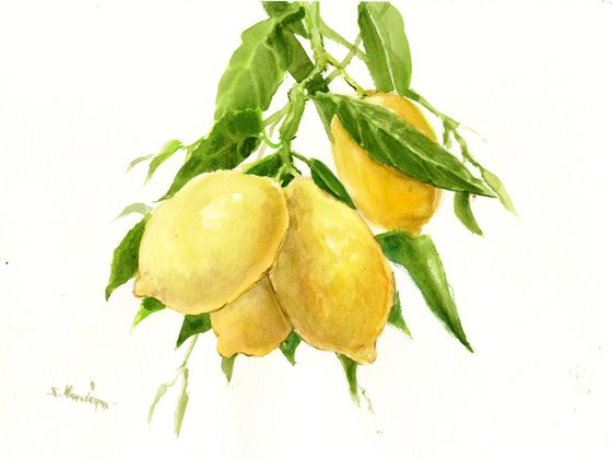 Lemons on the Tree