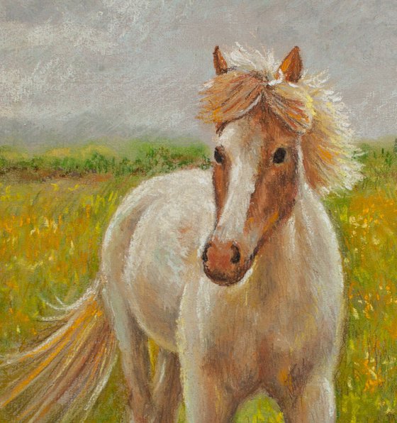 Soft pastel original drawing of lovely horse