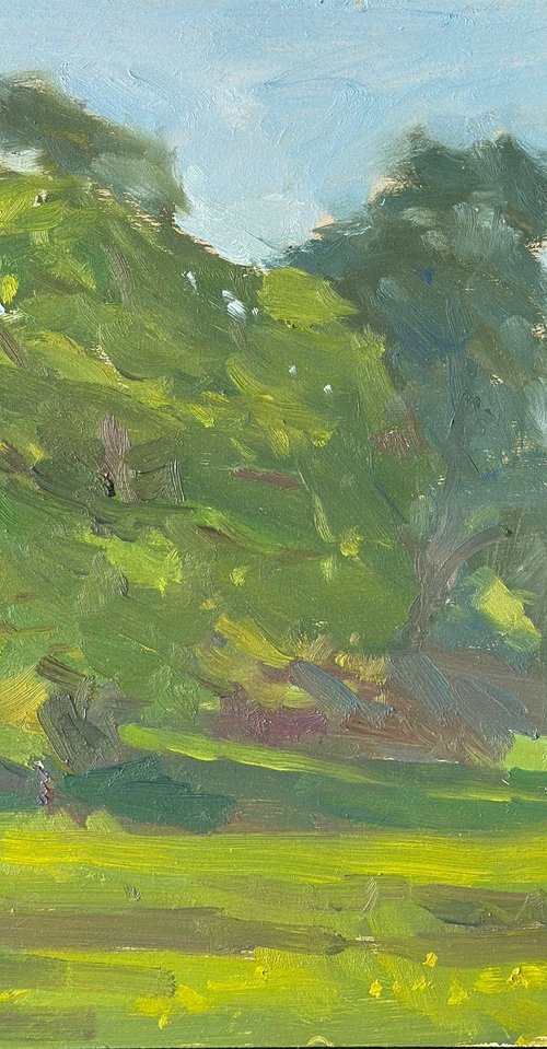 Roman Fort, Ambleside by Alex James Long