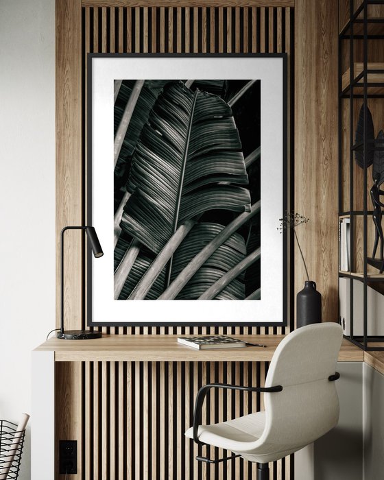 Jungle Fronds