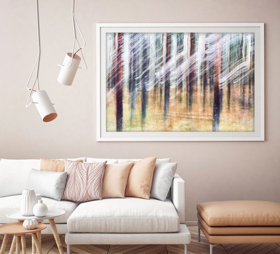 Conifers (studio 4)