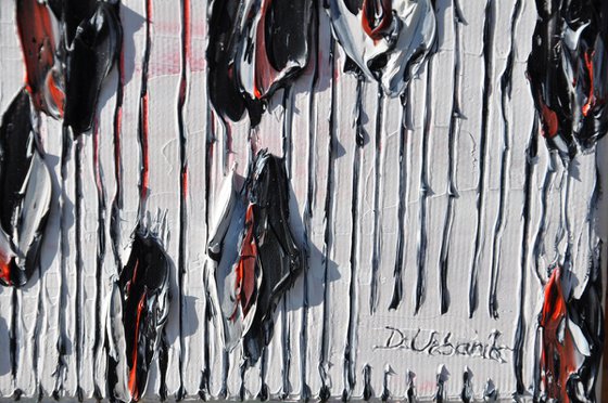 Black Poppies 2